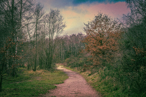 Landschaft mit Weg