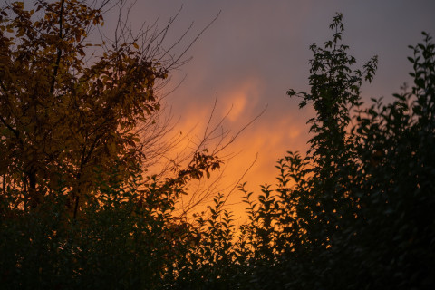Die Engel backen Plätzchen