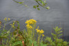 Abschied